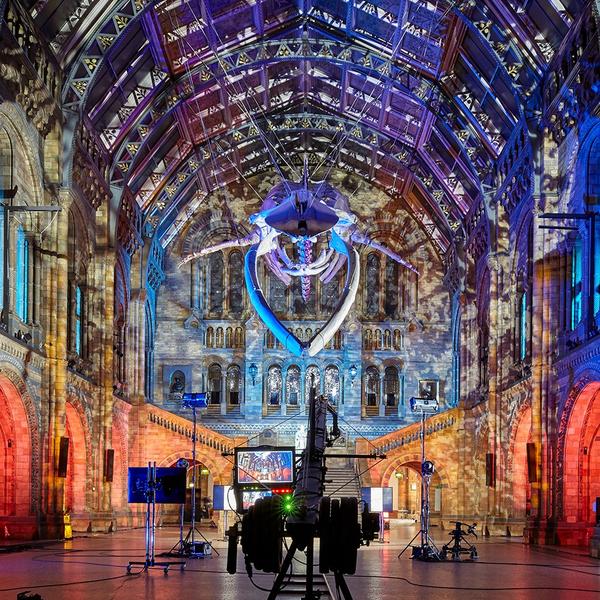 Awards night at Hintze Hall