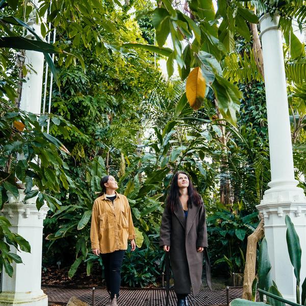 Guests in the Palm House in the Botanical Garden.