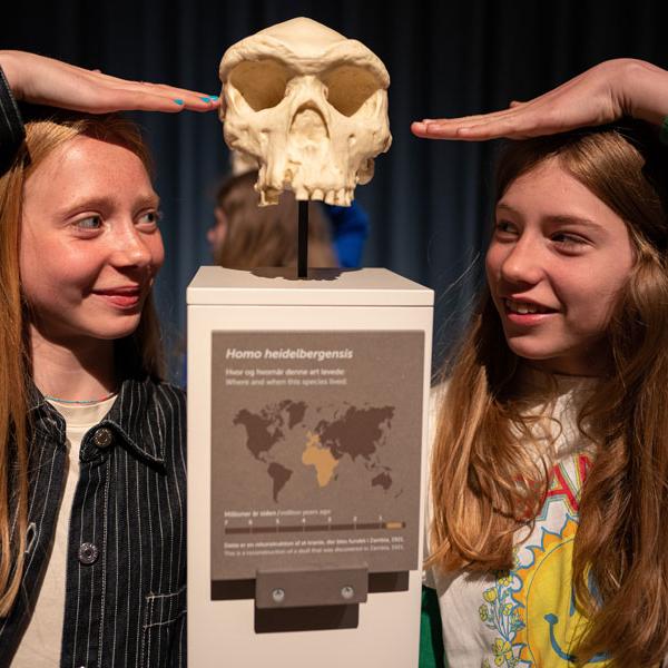 Publikum i Neandertaler-udstilling