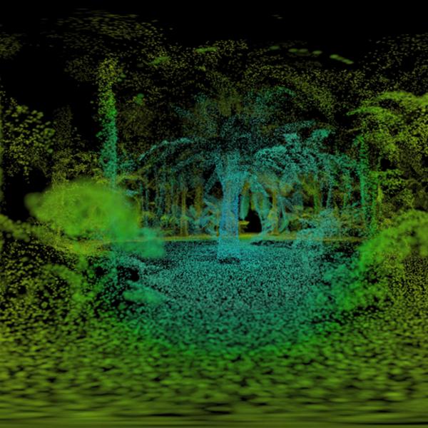 Screenshot fra Letter to Cycad-film