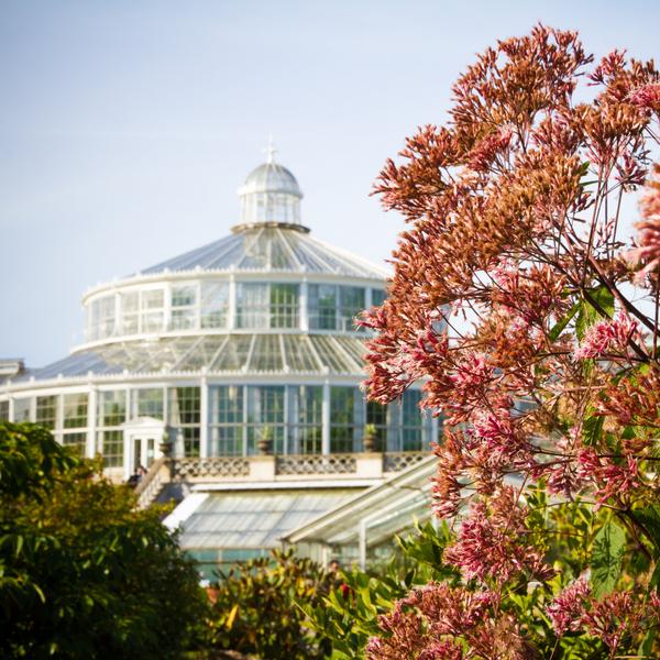 Palmehuset i Botanisk Have - forår