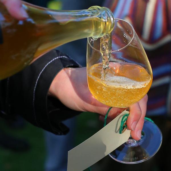 Øl hældes op i glas i Botanisk Have
