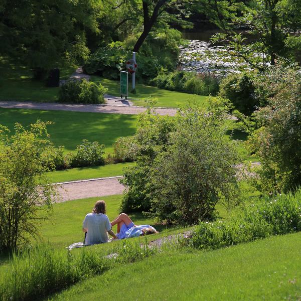 Morgen i Botanisk Have