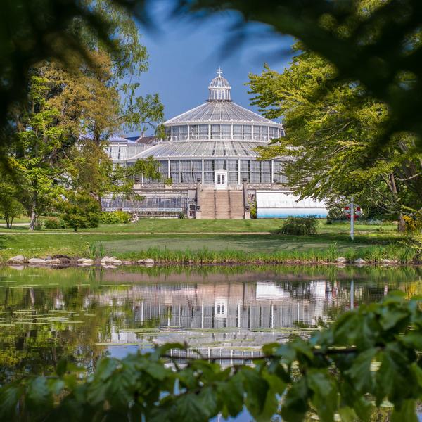 Palmehuset i Botanisk Have