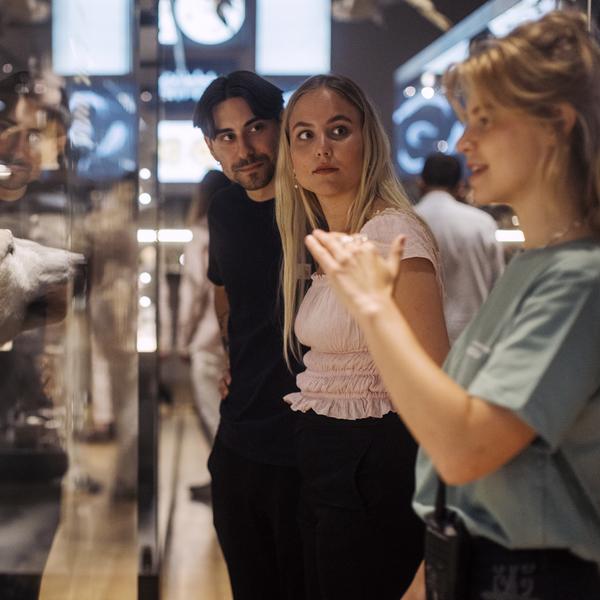 Museumsvært fortæller gæster om isbjørnen