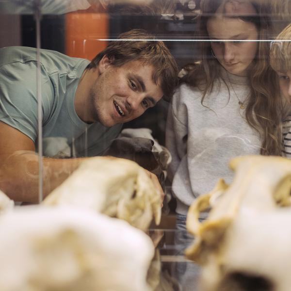 Museumsvært fortæller to børn om isbjørnekranier