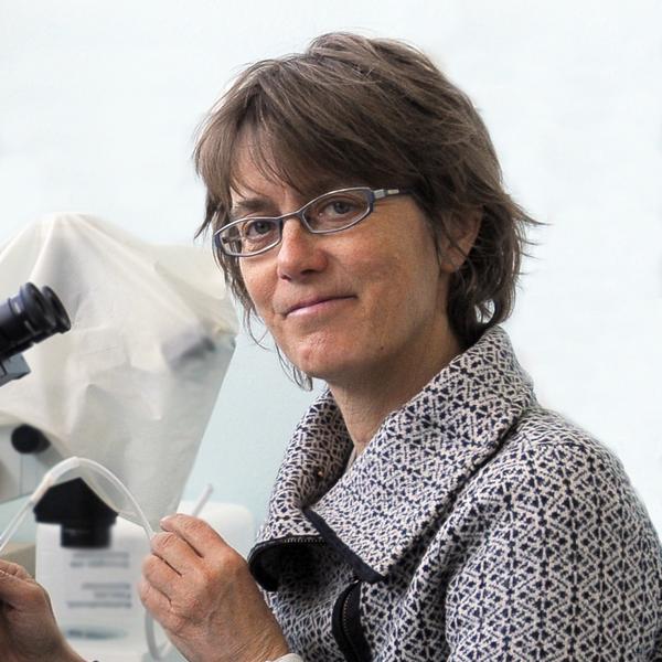Nina Lundholm