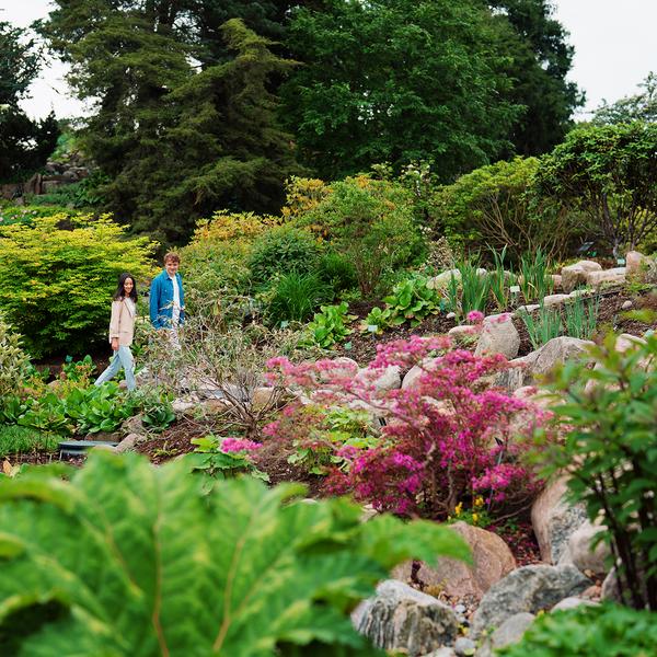 Rododendron-kvarteret