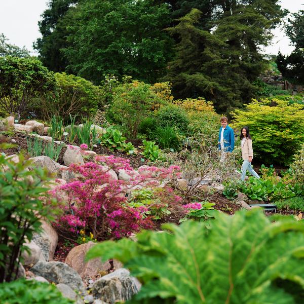 Gæster i Rododendron-kvarteret. Foto: Barsk Projects