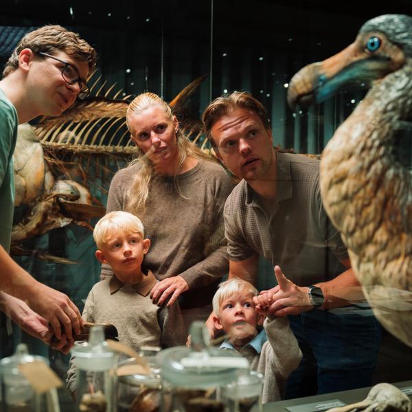 FossilFestival 2025
