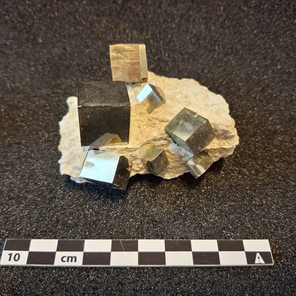 Mineralet Pyrit fra Navajun i Spanien, Statens Naturhistoriske Museum