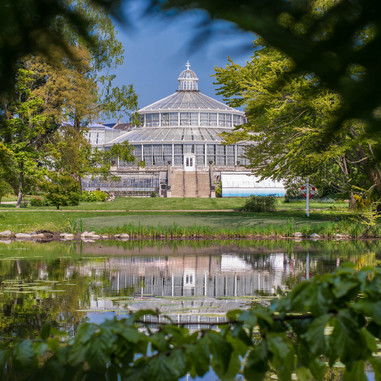 Palmehuset i Botanisk Have