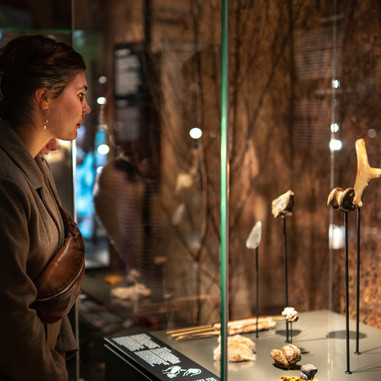 Kvinde i Neandertaler-udstillingen