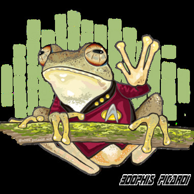 Boophis picardi