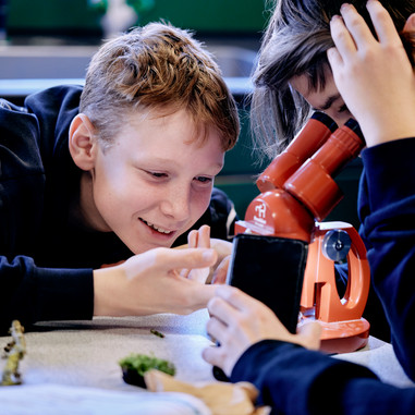 Folkeskoleelever over hele landet har bidraget stort til vores viden om mosser, laver og bjørnedyr. Foto: Thomas Evaldsen