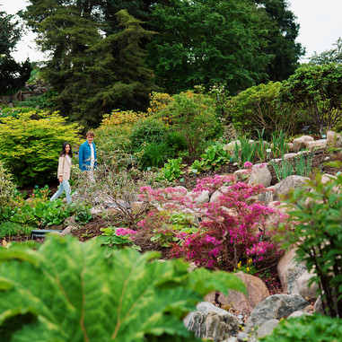 Rododendron-kvarteret