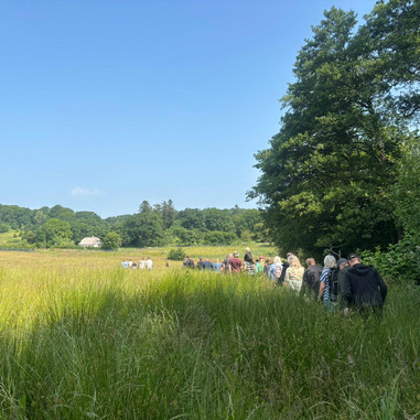 Bioblitz i Fussingø Naturnationalpark