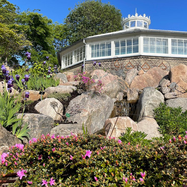 Rododendronbjerget i blomst