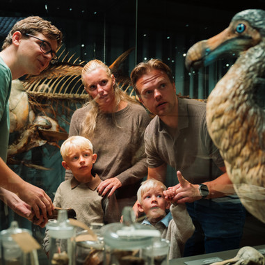 FossilFestival 2025