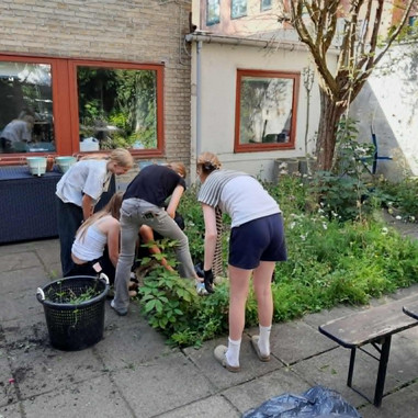 Biodiversitetsområde på Vesterbro Ungdomsgård
