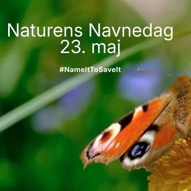 Naturens Navnedag kampagnebillede