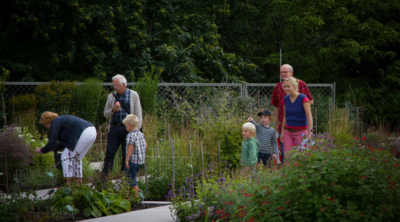 Familier på opdagelse i Botanisk Have