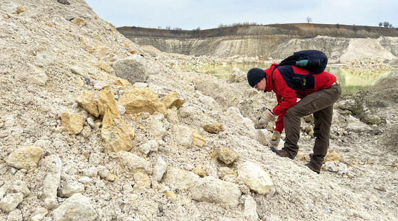 Danmark Udforsker Fossiler