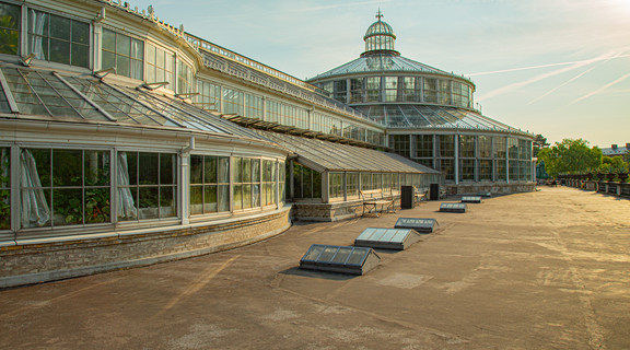 Palmehuset