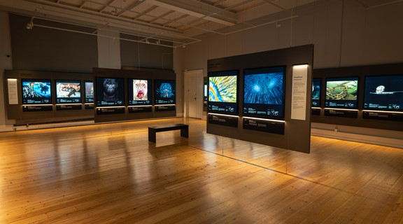 Private view