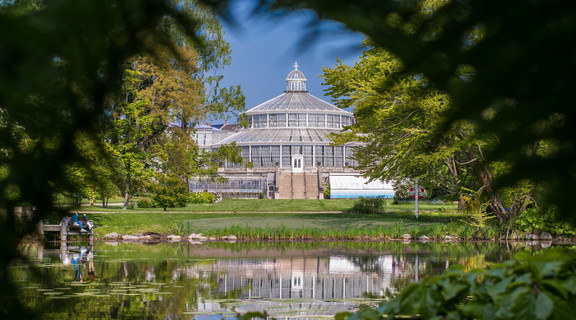 Palmehuset i Botanisk Have