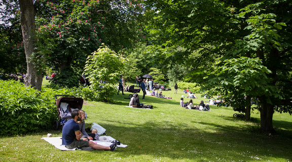 Gæster slapper af på plænen i Botanisk Have, København