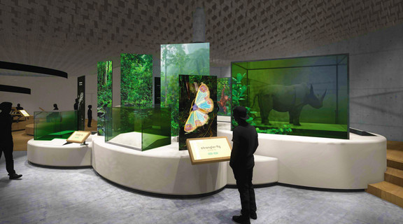 Biodiversitet