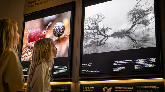 Børn i udstillingen 'Wildlife Photographer of the Year'