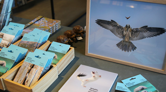 WPY60 merchandise