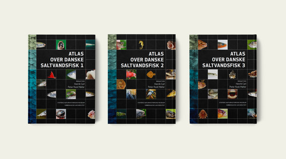 Atlas over danske saltvandsfisk bogforsider