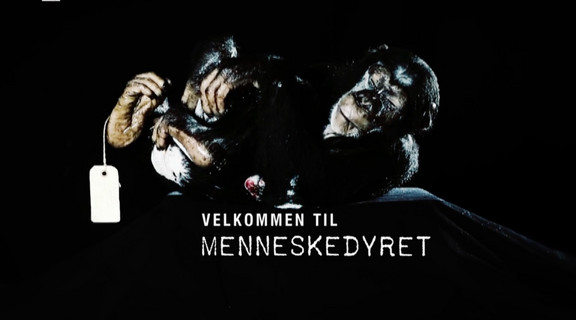 Billede af primat