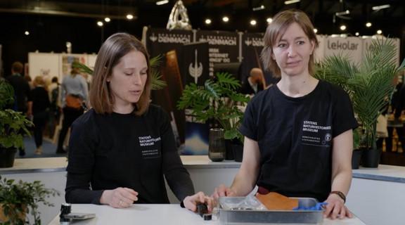 Undervisere til konference