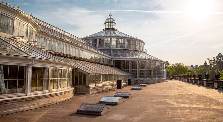 Palmehusets terrasse