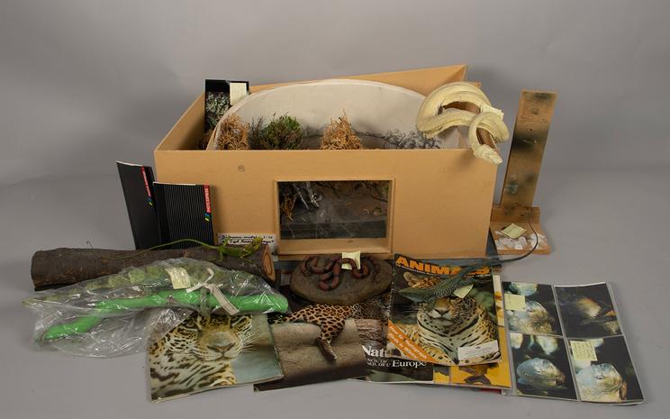 Skalamodellen og flere af de noter og præparater der indgik i planlæggelsen af jaguar-dioramaet.