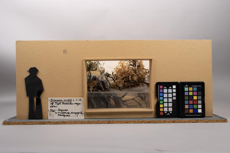 Model i skalaen 1:10 af et en jaguarens habitatdiorama planlagt til udstilling på Zoologisk Museum.