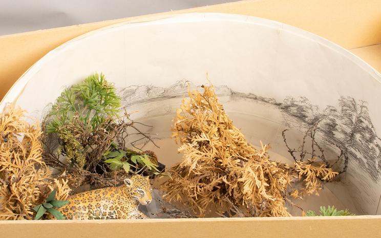 Nærbillede af skalamodellen komplet med bemalet figur af jaguaren, forgrundsmateriale lavet af plastik-planter og tørrede planter, og en håndskitseret horisont i baggrunden. Fotograf: Mikkel Ege Bartholdy