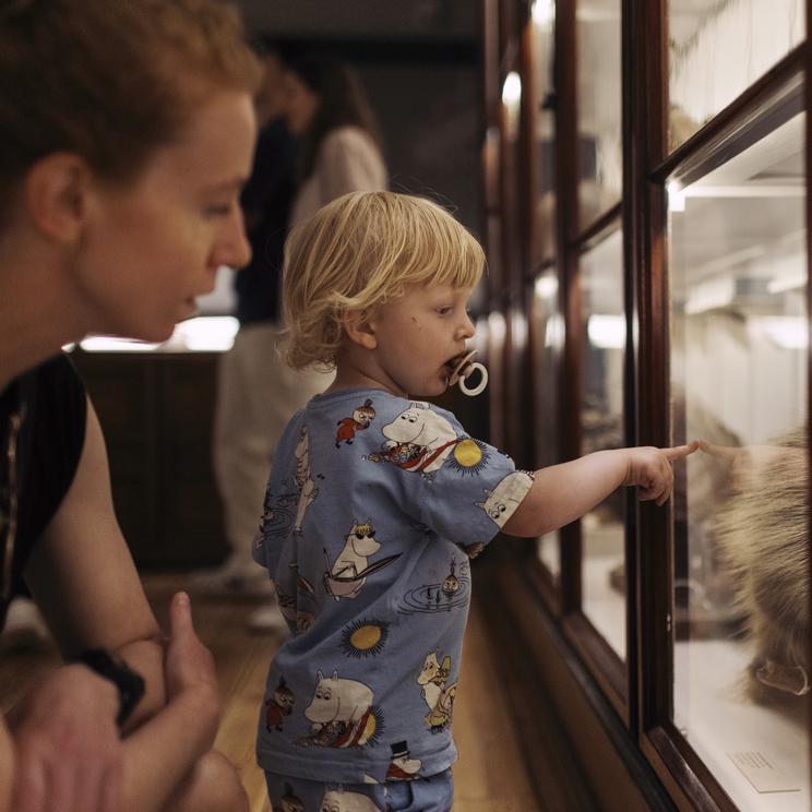 I udstillingens værksted kan børn og voksne undersøge naturhistoriske genstande