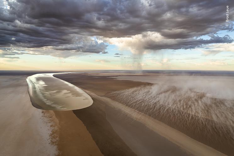 © Brad Leue, Wildlife Photographer of the Year