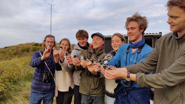 Siden 1998 er gennemsnitligt ringmærket godt 86.000 fugle om året i Danmark med hjælp af en stab på 200-230 frivillige ringmærkere. Foto: Adam Søderdahl, Statens Naturhistoriske Museum