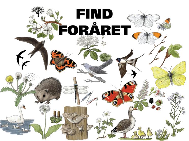 Find Foråret