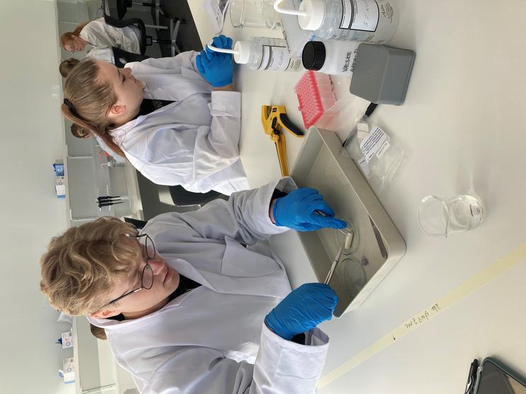 En bevilling på 6 millioner kroner fra Novo Nordisk Fonden muliggør nu etableringen af to nye DNA-laboratorier