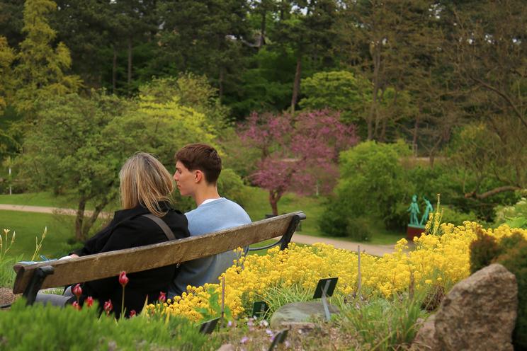 Gæster i Botanisk Have