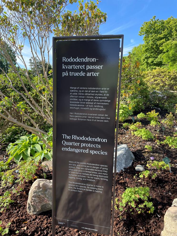 Formidlingsskilt i Rododendron-kvarteret