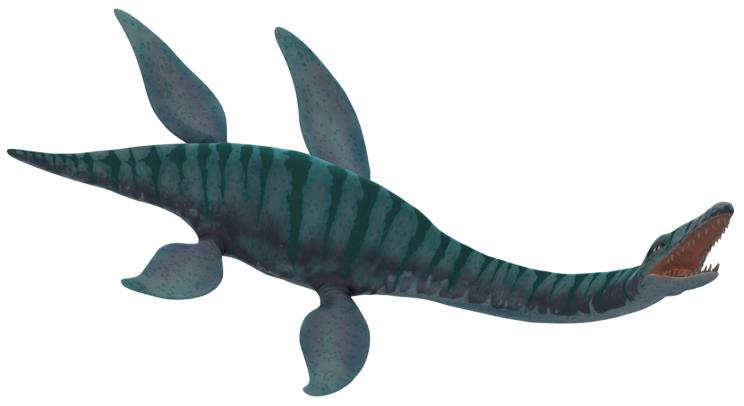 Plesiosaur