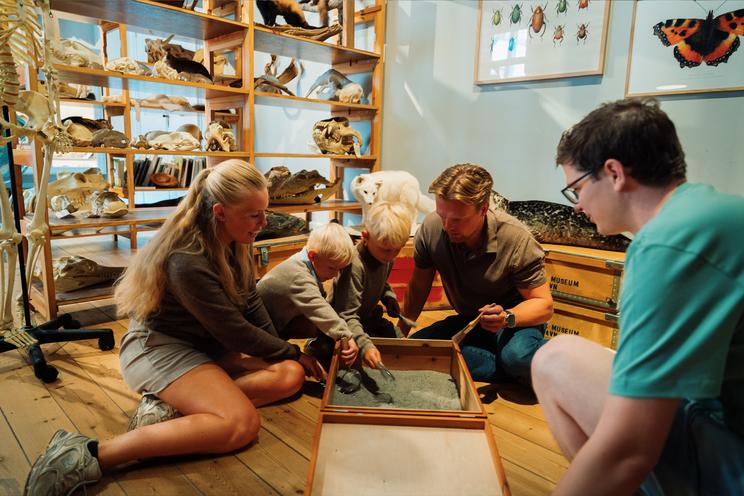 FossilFestival 2025